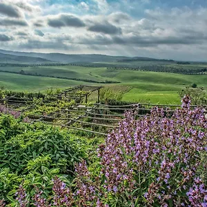 Bed & Breakfast Le Tassinaie, Castellina Marittima